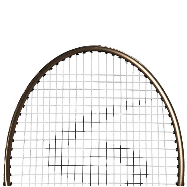 Stein P Aegis 10 Badminton Ketcher GOLDEN / PURPLE